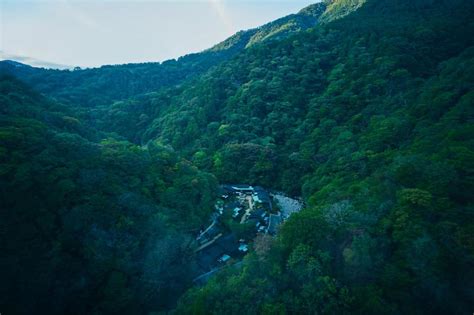 Hakone bijin ryû con sus colores vibrantes y una perspectiva única sobre la naturaleza japonesa!