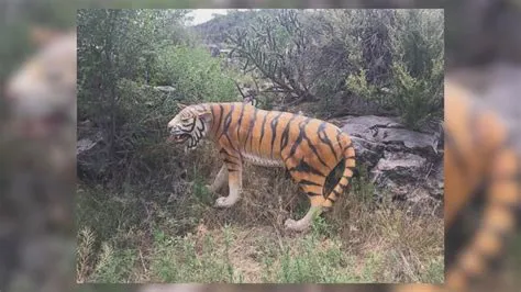 The Tiger Captured by the Mountains! A Detailed Look at the Artistic Triumphs and Philosophies Embedded in Wonch'u's 8th Century Masterpiece